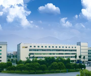 300808 久量股份：关于公司股东、前任董事违规减持公司股票及致歉的公告