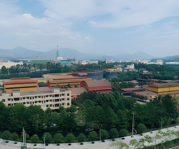 688786 悦安新材：江西悦安新材料股份有限公司关于董事因误操作违规减持公司股票及致歉公告