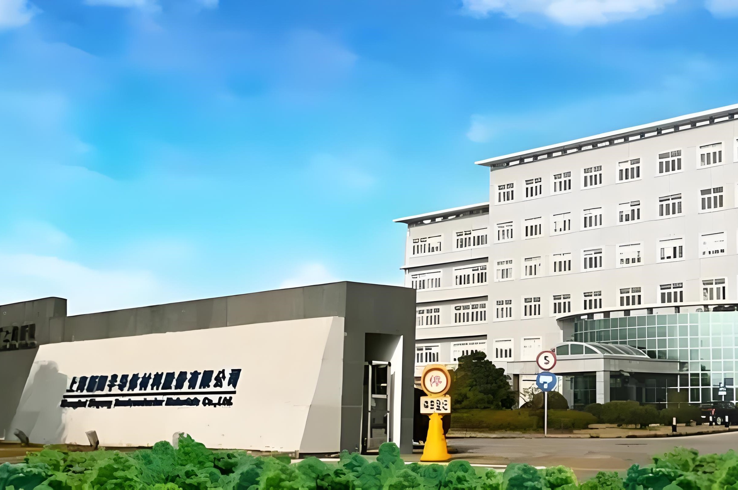300236上海新阳：关于公司违规减持股份致歉并承诺购回的公告