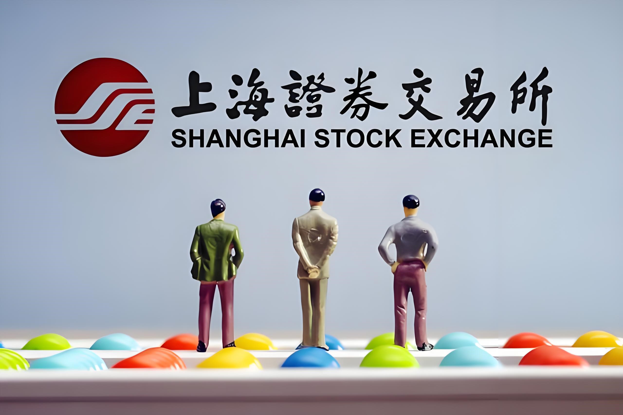 上海证券交易所上市公司自律监管指引第8号——股份变动管理（2025年4月修订）