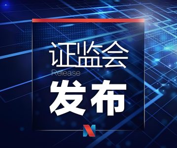 依法从严执法 护航资本市场高质量发展——2024年中国证监会执法情况综述
